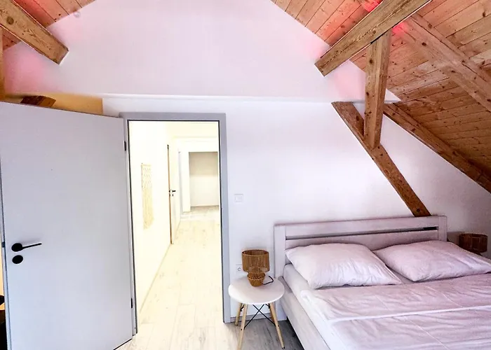 Apartment Pasecna *