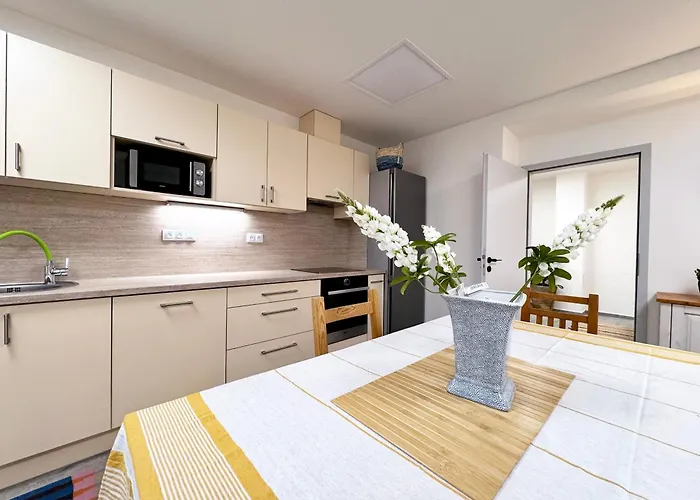 Pasecna Apartment Přední Výtoň