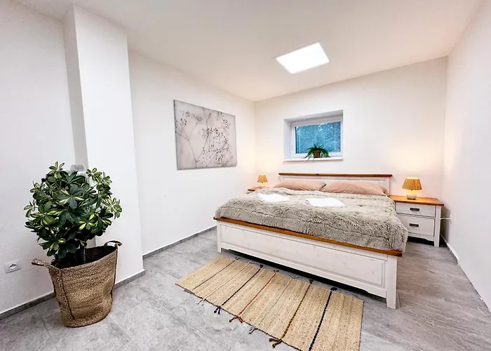 Apartment Pasecna Přední Výtoň