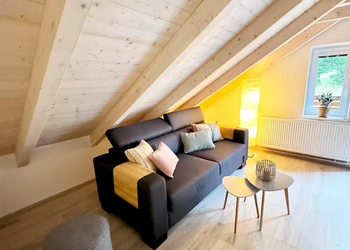 Apartment Pasecna Přední Výtoň