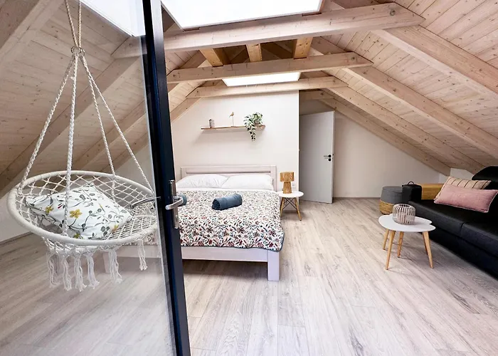 Apartment Pasecna Přední Výtoň